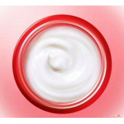 SK-II Skinpower Cream 100g 美之匙能量精華霜