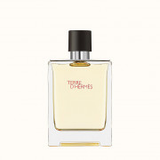 HERMES Terre D'hermes Eau De Toilette 100ml 愛馬仕大地男士淡香水 100ml