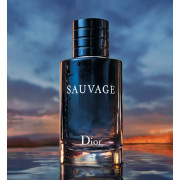 DIOR Sauvage Eau De Toilette 100ml 迪奧曠野之心淡香薰