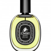 DIPTYQUE L'Ombre Dans L'Eau Eau De Parfum 75ml 蒂普提克影中之水淡香精