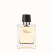 HERMES Terre D'hermes Eau De Toilette 50ml 愛馬仕大地男士淡香水